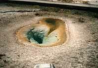 Yellow2k.jpg (8980 Byte)