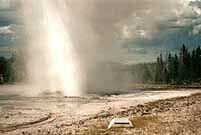 Yellow4k.jpg (5926 Byte)