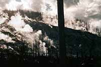 Yellow5k.jpg (6921 Byte)