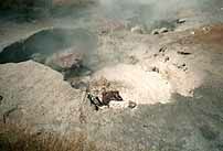 Yellow6k.jpg (6780 Byte)