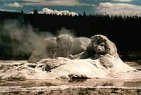 Yellow8k.jpg (7693 Byte)