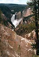 YellowAk.jpg (10394 Byte)