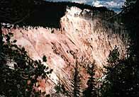 YellowBk.jpg (10527 Byte)