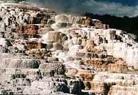 YellowCk.jpg (11731 Byte)