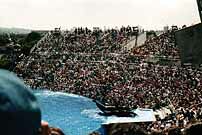 seawo4k.jpg (10153 Byte)